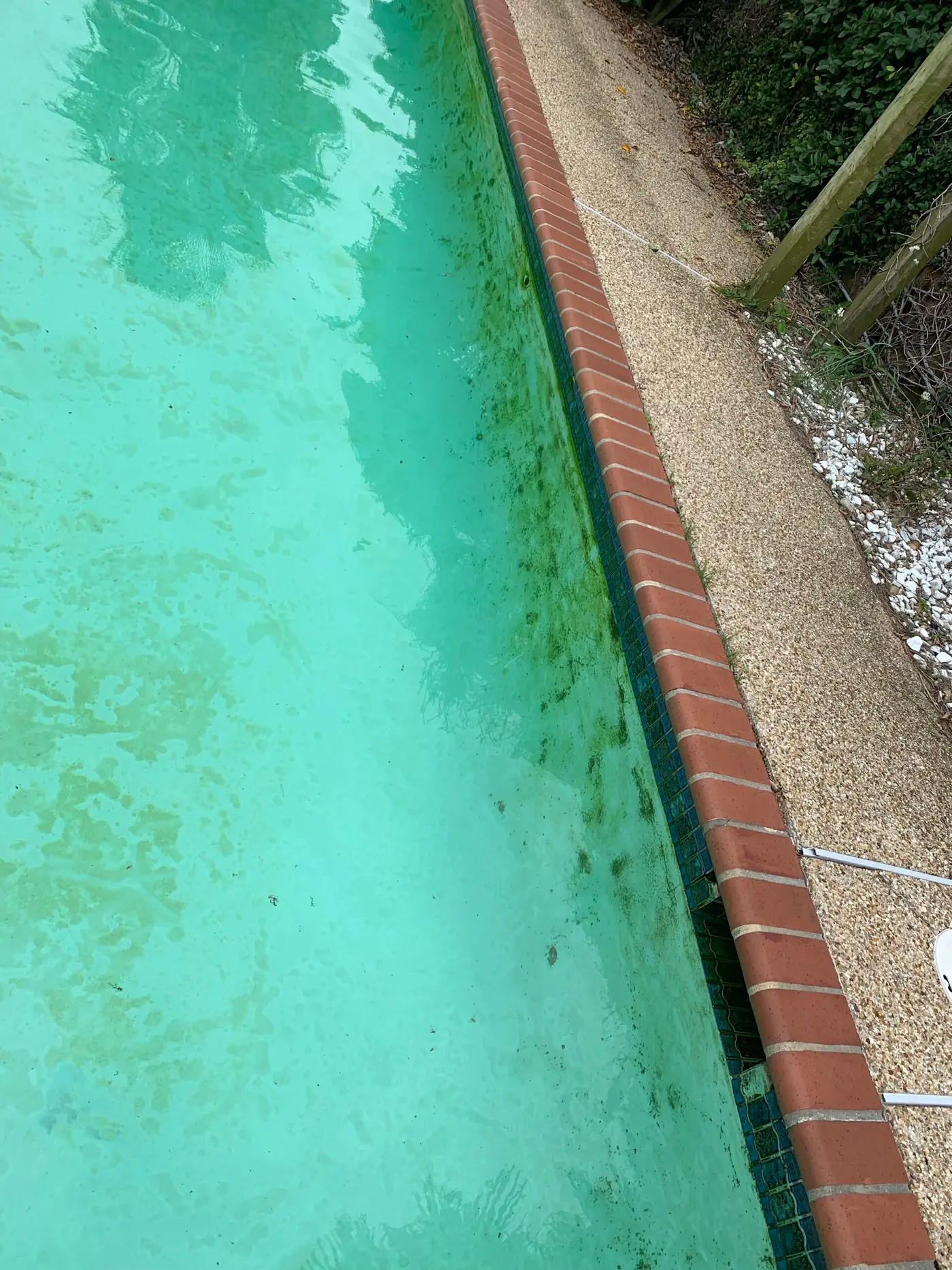 Dark algae streaks along a pool wall under red brick coping