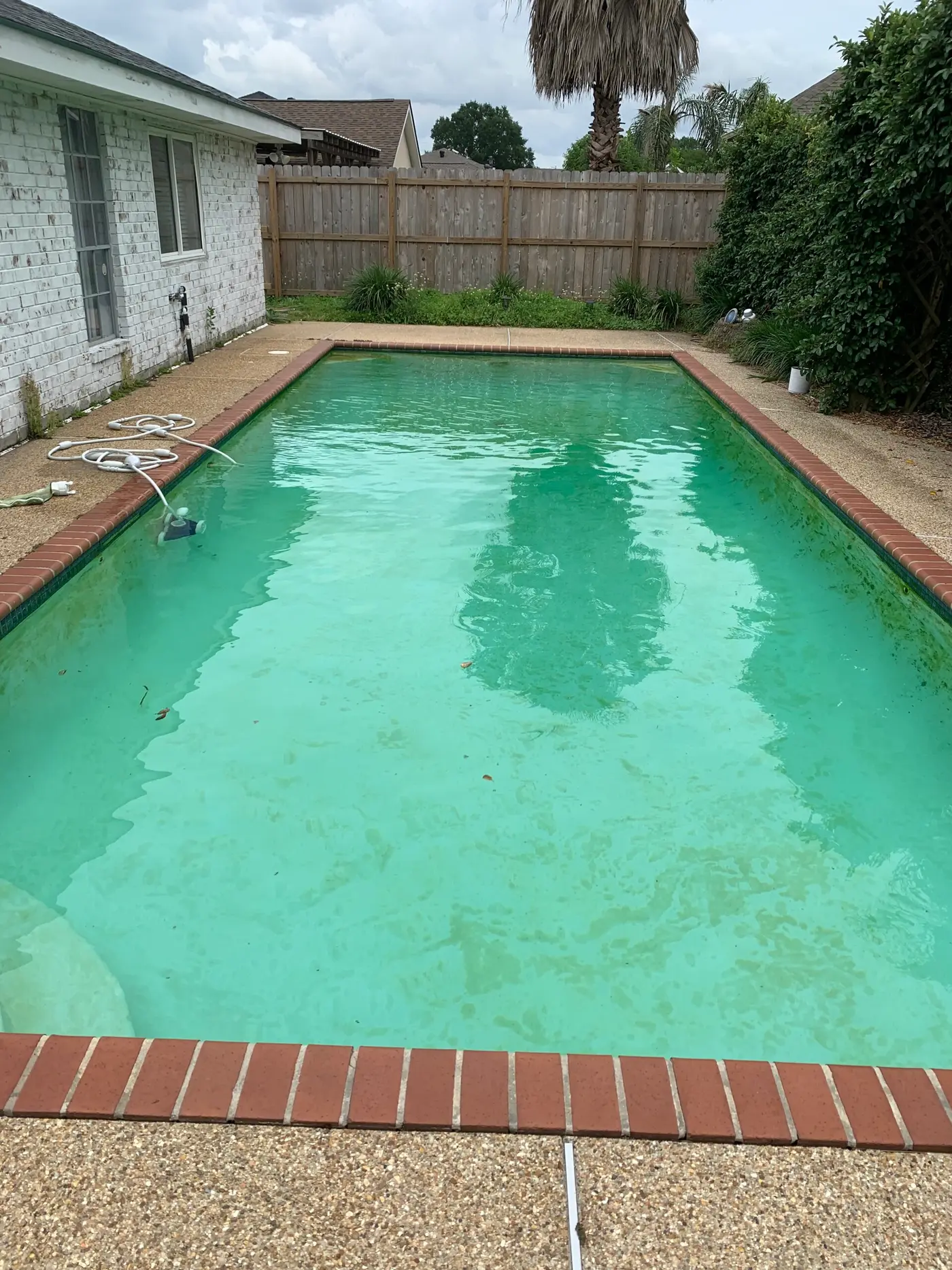 Before: green, cloudy pool with brick coping