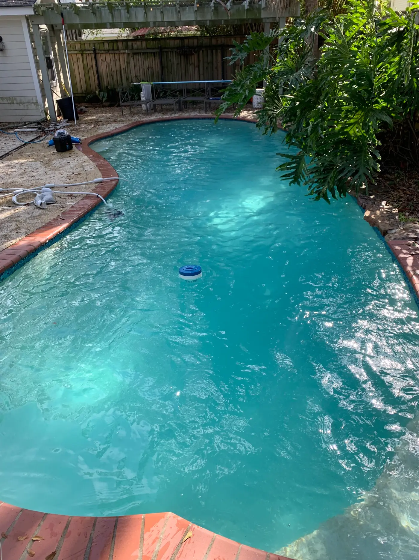 A kidney-shaped pool with clear water, the skim line along the brick coping