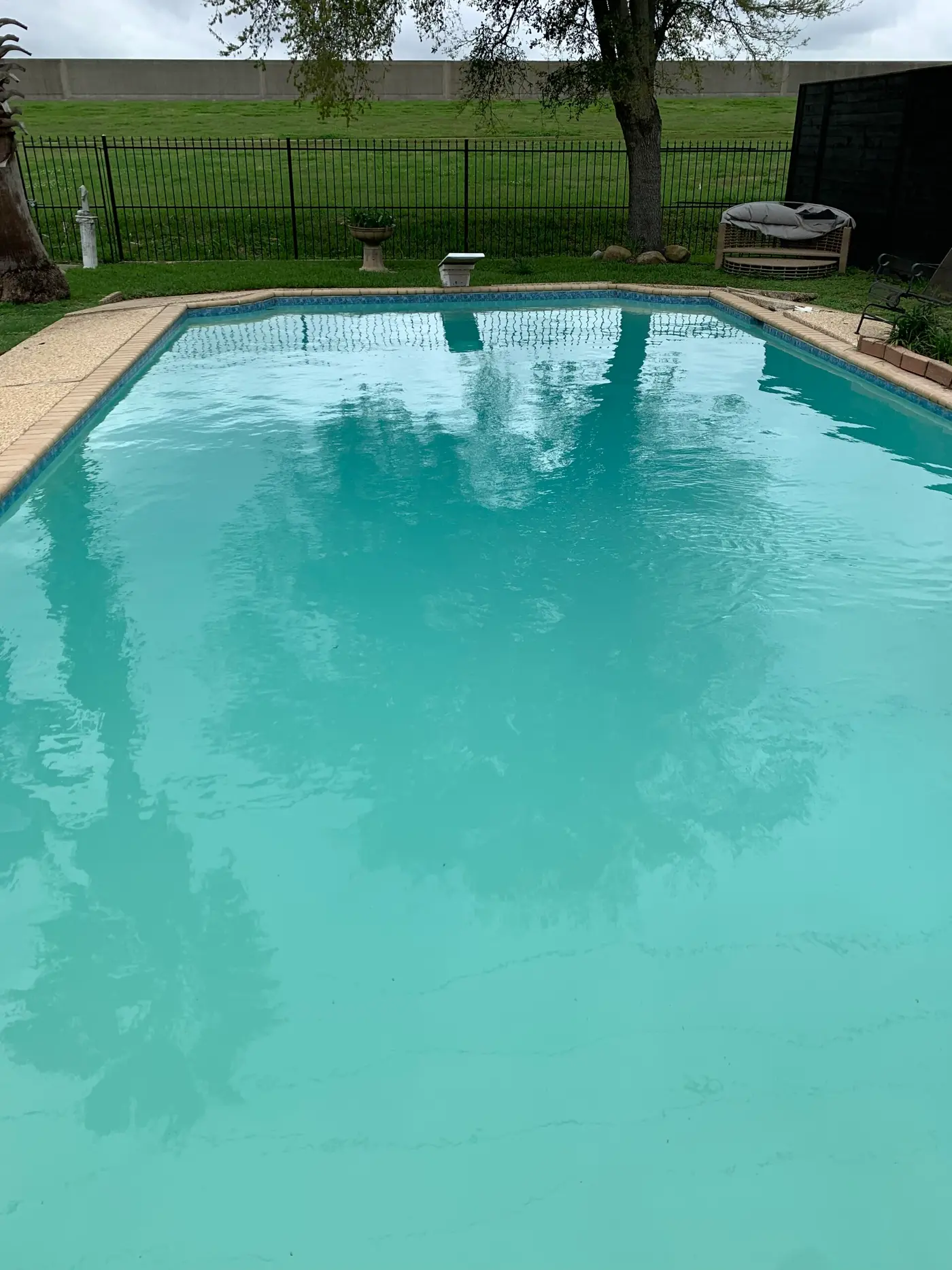 Clear turquoise water reflecting a tree